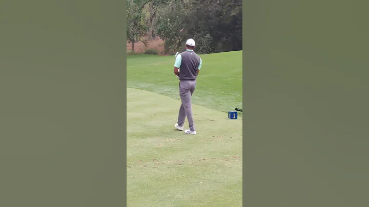 Tiger woods at sawgrass 2019