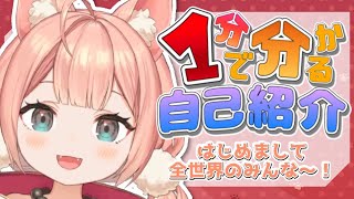 「【自己紹介】初めまして、全世界のみんな〜！【犬童桃┊新人Vtuber】」のサムネイル