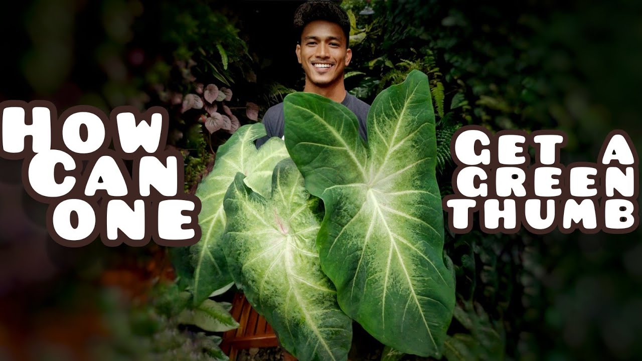 GREEN THUMB: Untangling the Myth & How to Get One