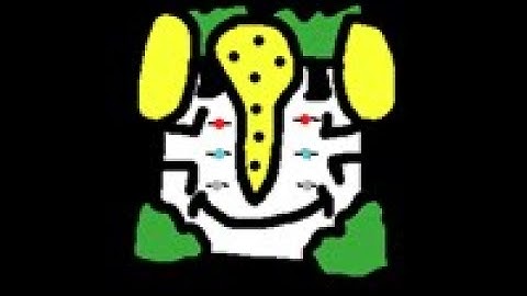 Easiest way to get reggiegigas (find the reggies)