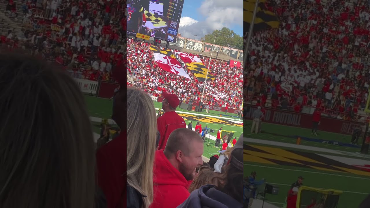 Maryland Flag