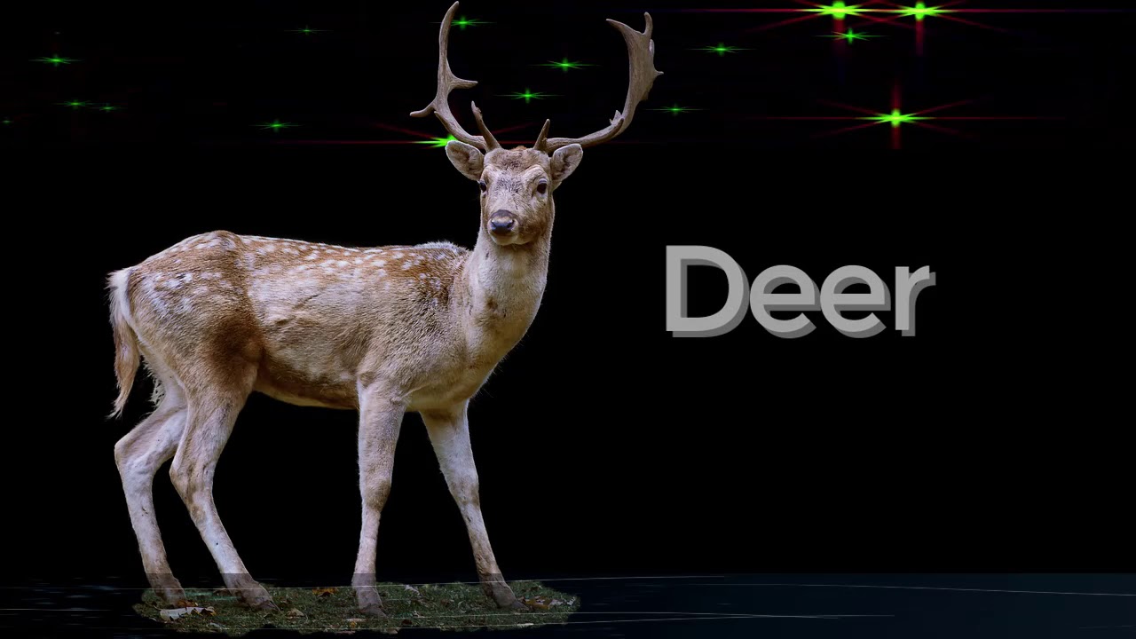 Олени mp3. Giant Deer Spirit.