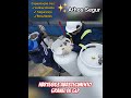 NBR15863 - Abastecimento a Granel de GLP  ✓ Capacite sua Equipe