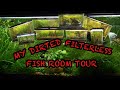 My dirted filterless fish room tour november 2023 fishroomtour fish fishroom aquariumfun