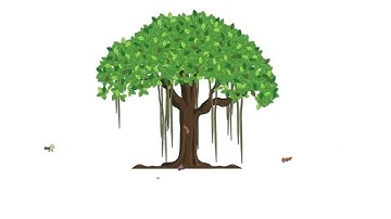 Adharwad | Animation by Dreamart Solutions & Visual X Studio | Photography & Videography Excellence