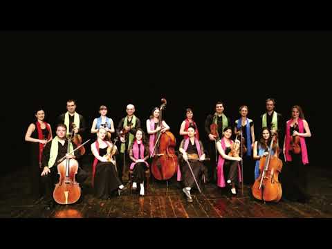 თბილისის სახელმწიფო კამერული ორკესტრი ზუგდიდში კონცერტს გამართავს