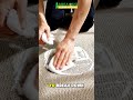 Nassau Rug Rescue: Melted Ice Cream Gone 👀