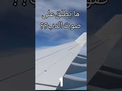 ما يطلق على صوت الدب