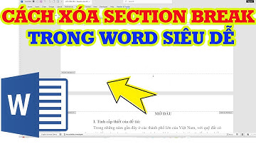 Cách tạo và xóa Section Break trong Word nhanh và đơn giản