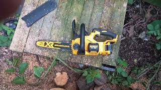 No 155. The marvellous DeWalt electric chainsaw and stuff. by Where's David-Paul, my ADHD life? 43 views 2 days ago 7 minutes, 35 seconds