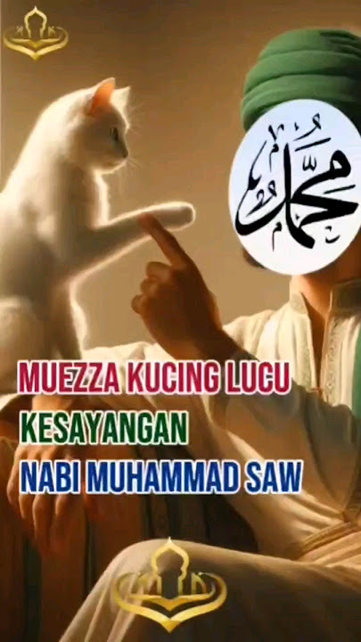 MUEZZA KUCING LUCU KESAYANGAN NABI MUHAMMAD SAW