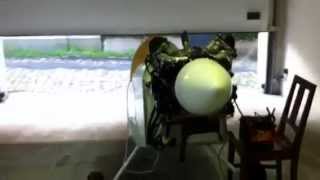 IMG 3857