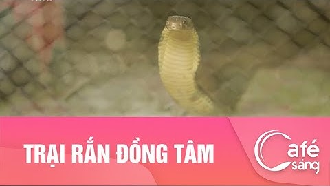 TRẠI RẮN ĐỒNG TÂM