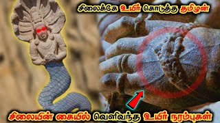 உயிர் பெறும் சிலைகள்.! தமிழனின் கைவண்ணத்தில்.! | Tamilnadu mystery temples | yaali animal tamil | TF