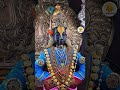 आजचे श्री विठ्ठल रुक्मिणीचे पवित्र LIVE संध्या दर्शन पंढरपूर 🙏#jayhariviththal#livedarshanpandharpur