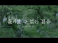 이병우- 돌이킬수없는걸음 (Melodion cover) 장화홍련ost