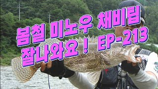 봄철 쏘가리 미노우 운용팁 EP-213