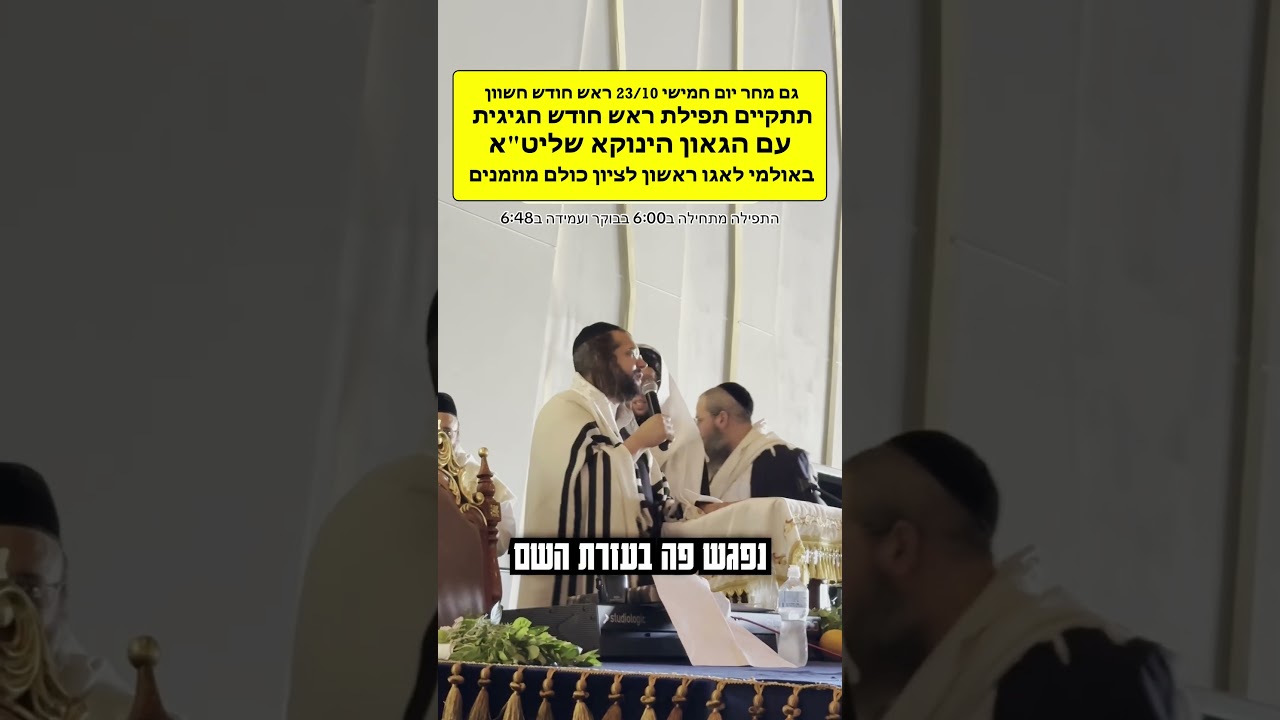 Uploads from שיעורי הינוקא - The Yanuka Rav Shlomo Yehuda