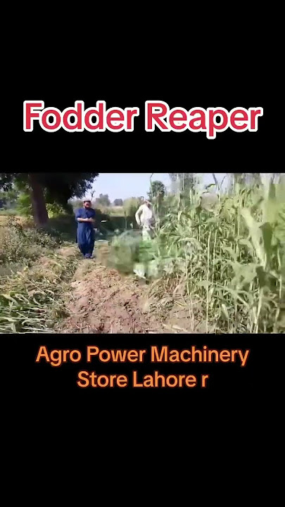 Fodder Reaper Cutter Machine UAN: 03-111-125-100