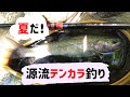 【テンカラ釣り】夏だ！源流イワナを求めて