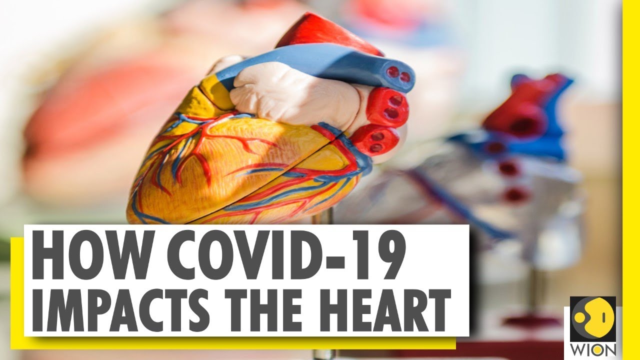 COVID-19 infections leave an impact on the heart: Study | Coronavirus | World News