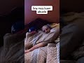 A que tienen su casa ñetos