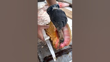 How to Remove a Conch from the Shell