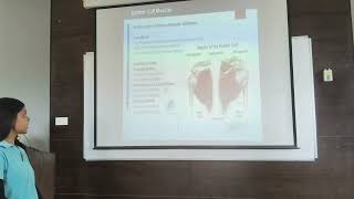 Ananya Kunapara SYBPT KINESIOLOGY Rubrics 2