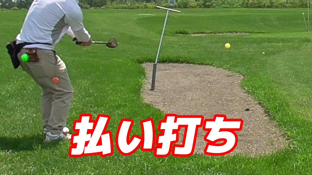 パーク ゴルフ パット の 打ち 方