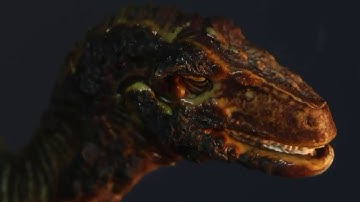 Reverse Perspective - True North (Official Music Video)