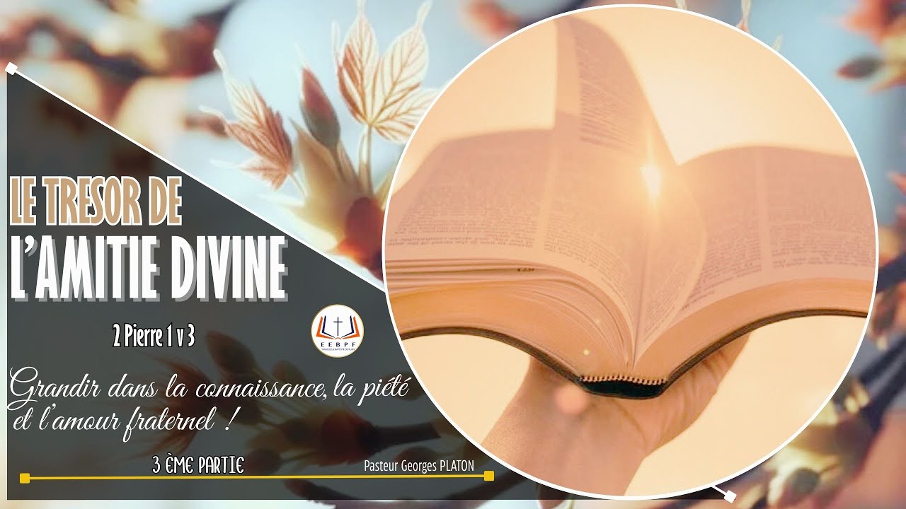 ETUDE BIBLIQUE - LE TRESOR DE L'AMITIE DIVINE ( 2 Pierre 1 v 3)