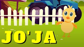 JO'JA | ЖУЖАЛАРИМ | Детские песни | O'zbek bollar qo'shig'i | chip chip jojalar | Болалар кушиклари