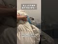 【Amazon Basic】圧縮袋で夏支度しちゃおう！