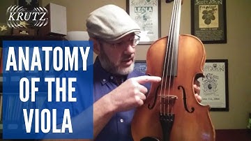 Anatomy of the Viola - Steven Smith - KRUTZ Strings