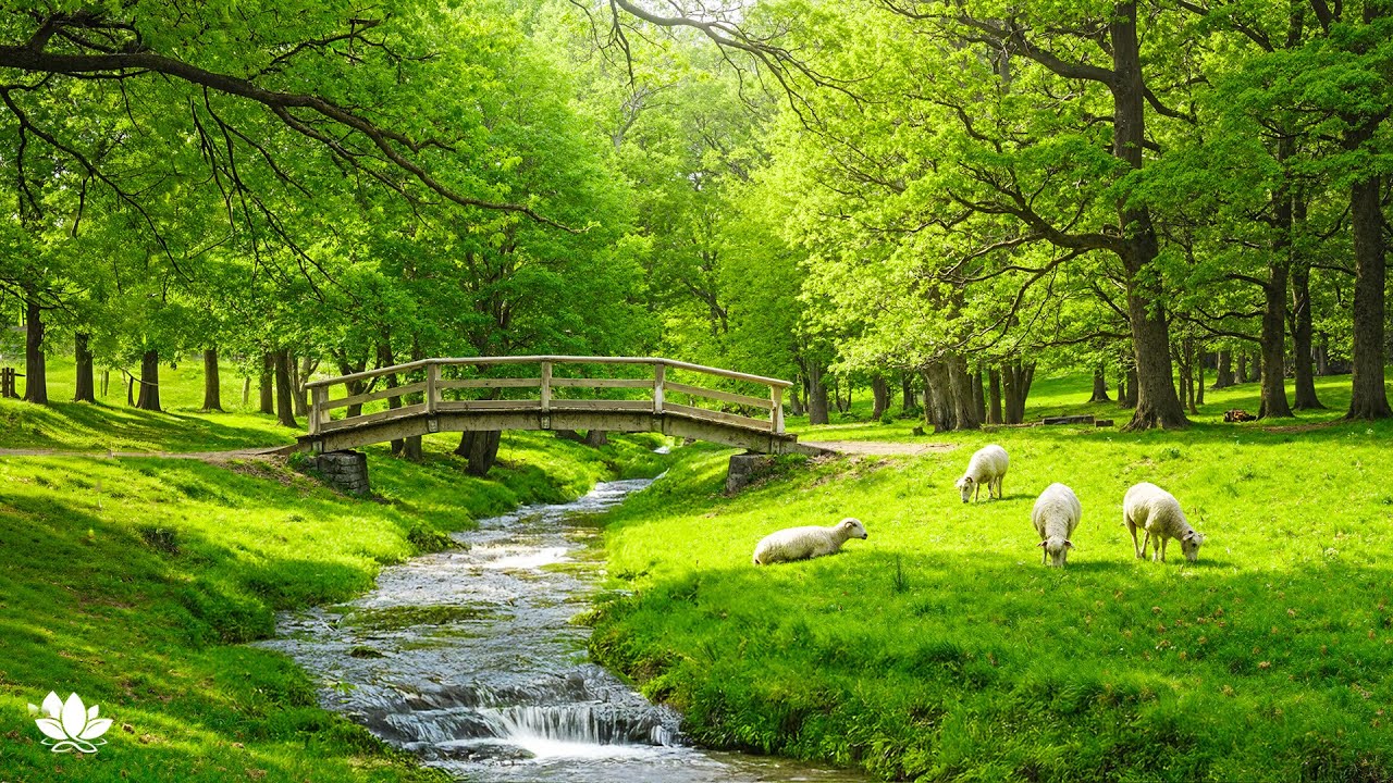 Restore Your Nervous System 🌱 Relaxing Music & Nature Sounds for Deep Sleep and Stress Relief