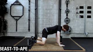 Beast-To-Ape
