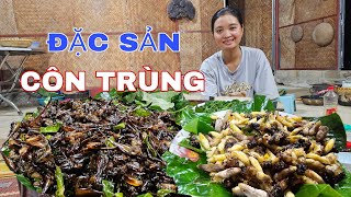 Download Lagu ĐI LẤY HẠT DỔI, B.Ắ.T ĐẶC SẢN TÔM RỪNG, ONG VÒ VẼ VỀ LÀM ẨM THỰC ! MP3 Download Lagu ĐI LẤY HẠT DỔI, B.Ắ.T ĐẶC SẢN TÔM RỪNG, ONG VÒ VẼ VỀ LÀM ẨM THỰC ! MP3