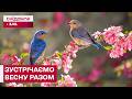 Перший подих весни серед зелені та світла в оранжереї