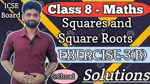 Squares & Square Roots, EXERCISE -3(B) Solutions