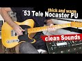 GREAT CLEAN & THICK Telecaster Sounds with KEMPER STAGE  (Brunetti Singleman 16)