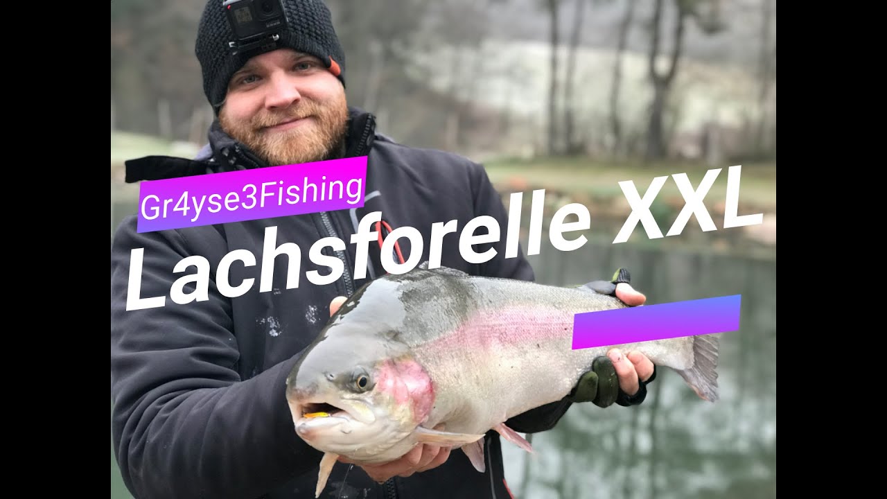 4,5 KILO LACHSFORELLE !!! Angeln am Forellenteich !!! So fische ich auf