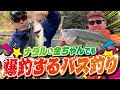 【バス釣り】ナダル＆鬼越金ちゃんでも爆釣するバス釣り