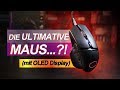 Das ULTIMATIVE Nagetier..?! -- Cooler Master MM830