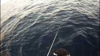 20121021スロージギングVTR005