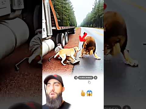 ا بدا لك بلا معنى كان تدبير ا من الله يحميك من شر مستتر اكسبلور   