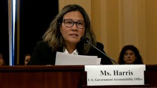 GAO Testimony: Veterans Affairs - Leading Practices Can Help Achieve IT Reform Goals
