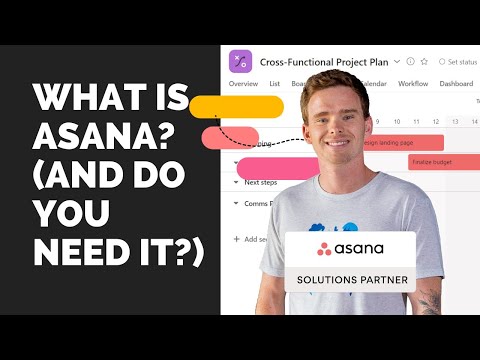 What is Asana? Do you need it in your business?