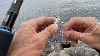 ショアジギング フラペン×サビキで釣り🎣 場所は大阪湾の貝塚人工島です♪ 釣果は、ぼちぼち ショアジギング フラペン×サビキで釣り🎣 場所は大阪湾の貝塚人工島です♪ 釣果は、ぼちぼち