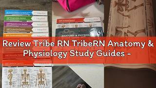 Review Tribe RN TribeRN Anatomy & Physiology Study Guides - Set of 10 Human Anatomy Guides for Nursi
