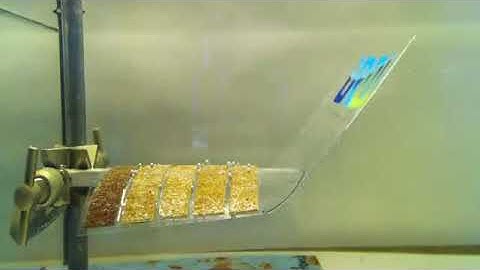 origami hygromorph biocomposite Le Duigou